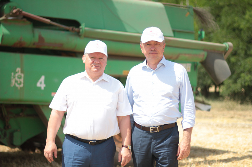 Урожайность зерновых на Ставрополье увеличится на 25%